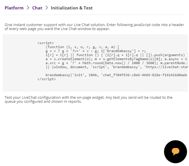 The Initialization & Test page with the JavaScript code for your Live Chat window. 