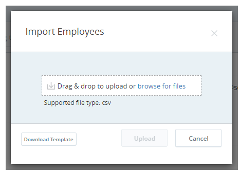 Import Employees screen to upload multiple employee records with a CSV file.